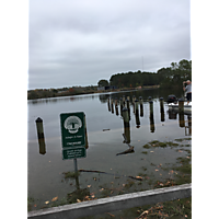 Chesapeake King Tide image